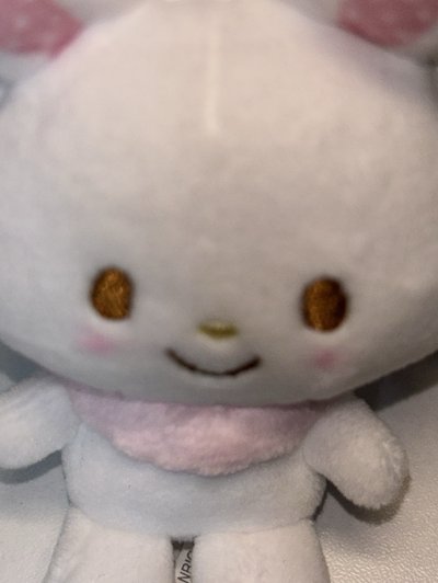愛心扣許願兔