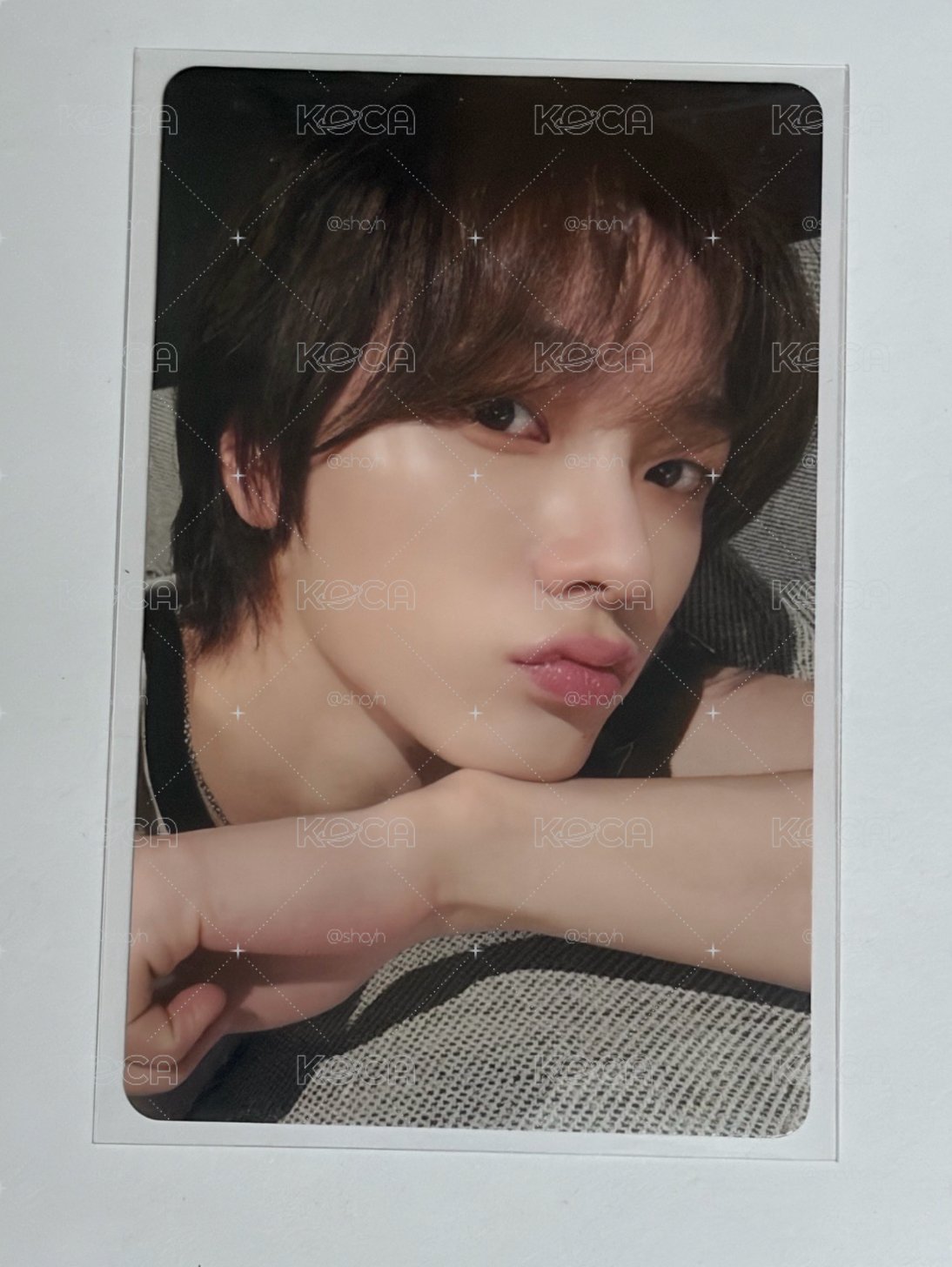 成淏19.99kkt