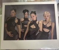 團體特點