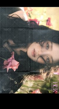 妮海報