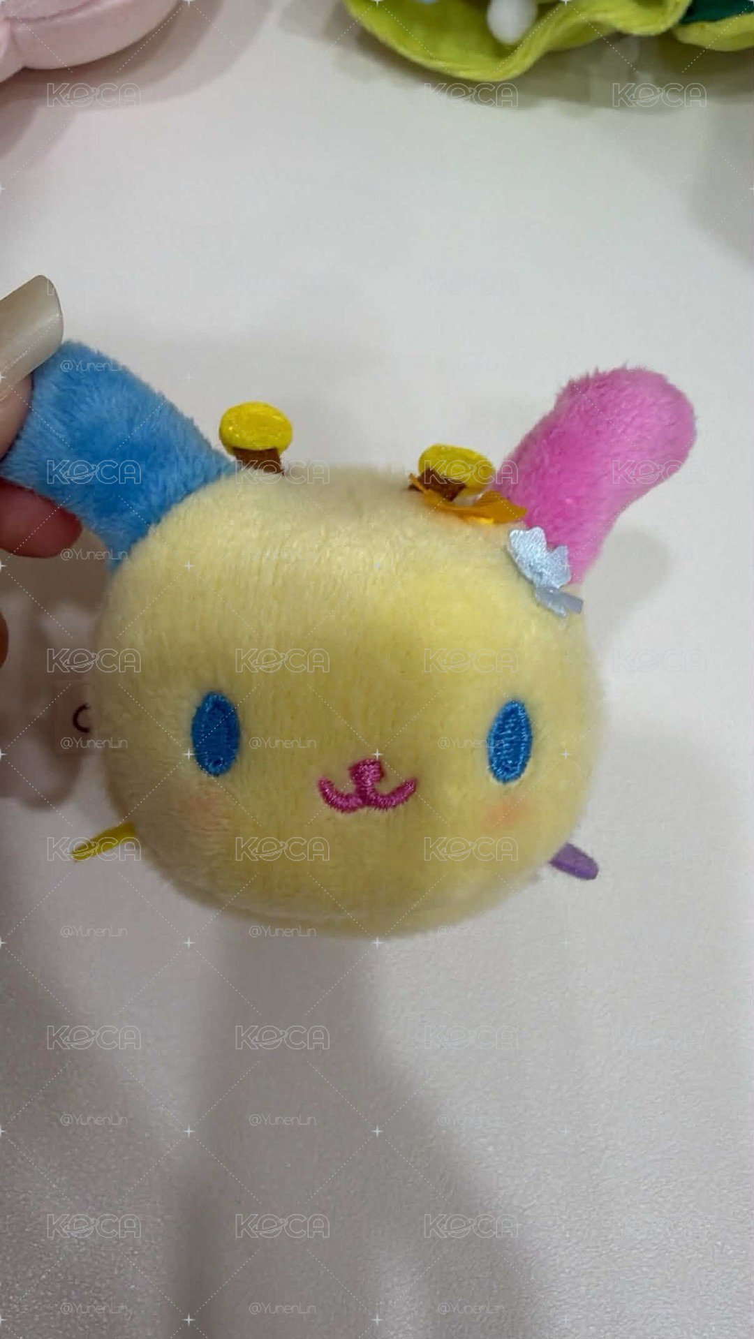 花小兔們