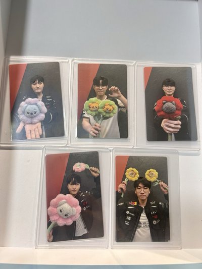 T1 animal friends  潦草 花花 小卡
