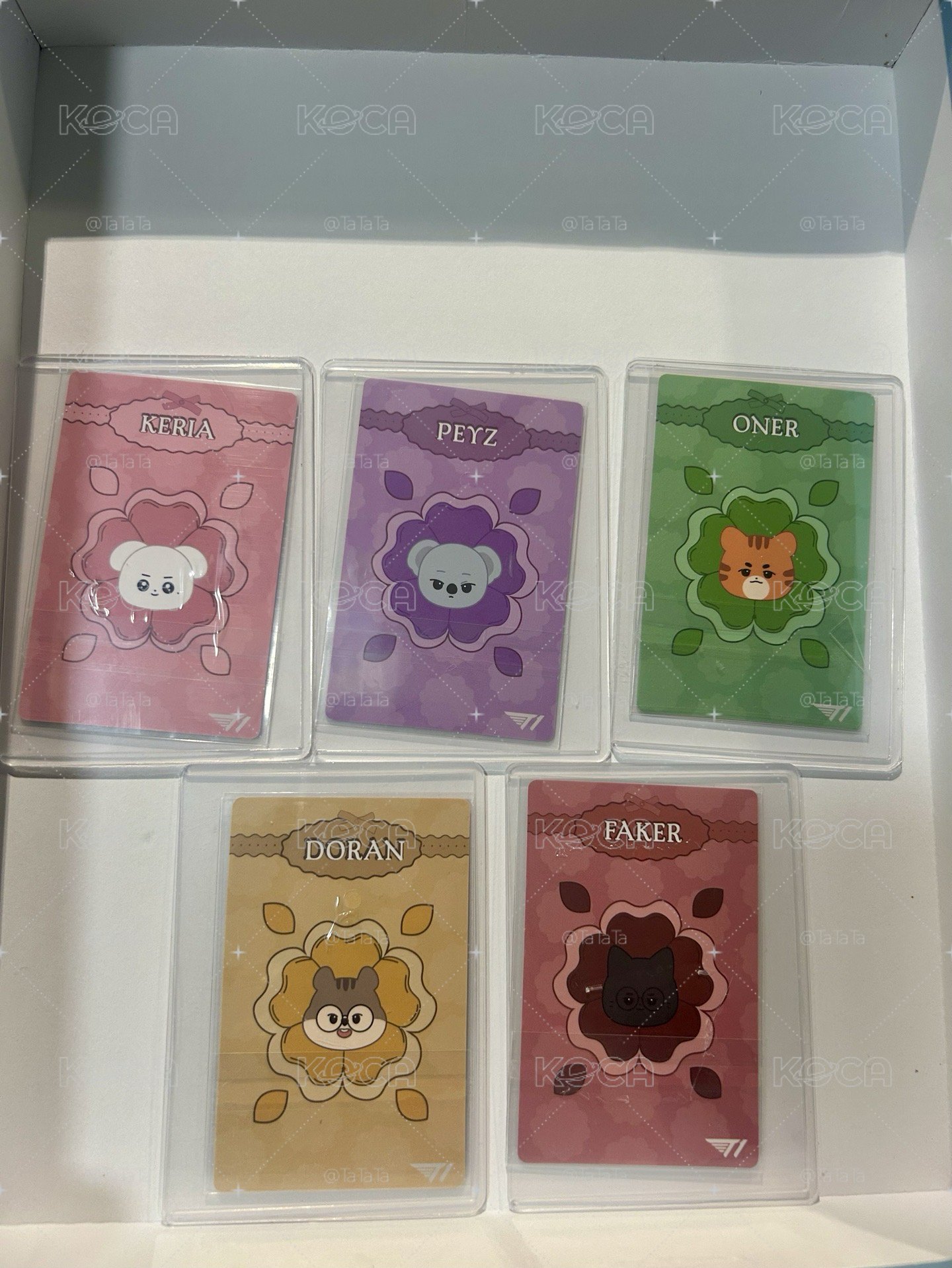 T1 animal friends  潦草 花花 小卡