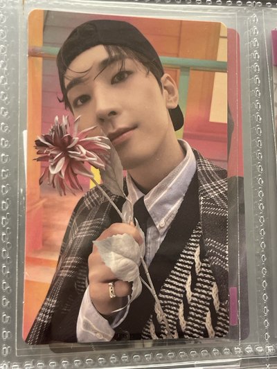 精選專 克拉盤 wvs特典圓 