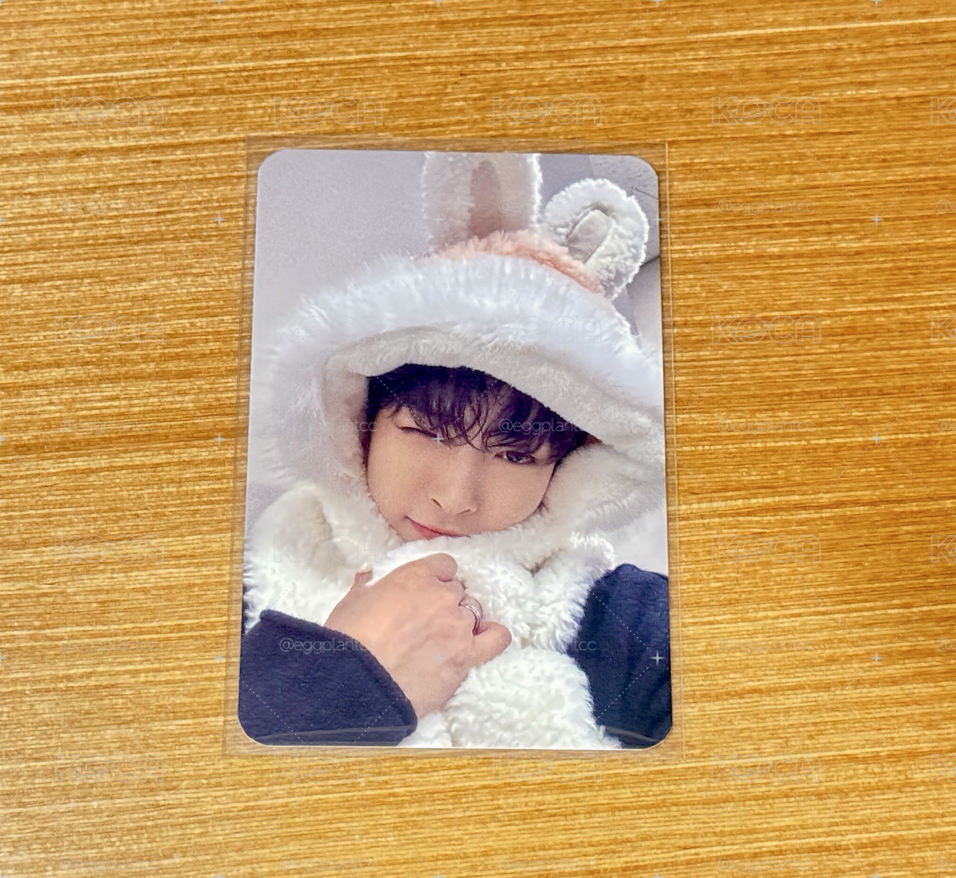兔兔中🐰