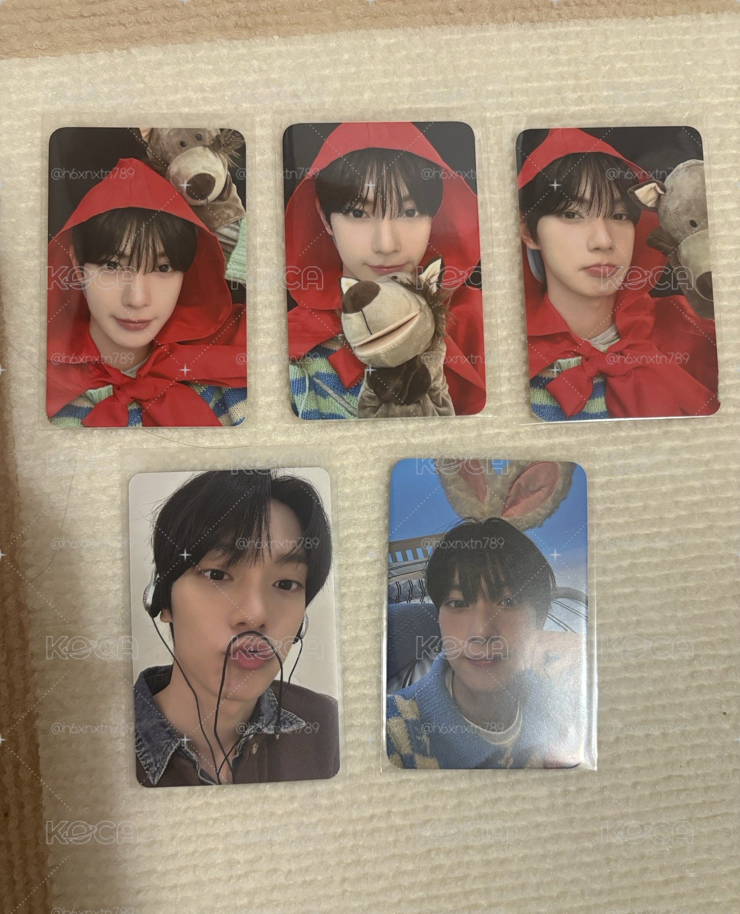 崔立于 小盤