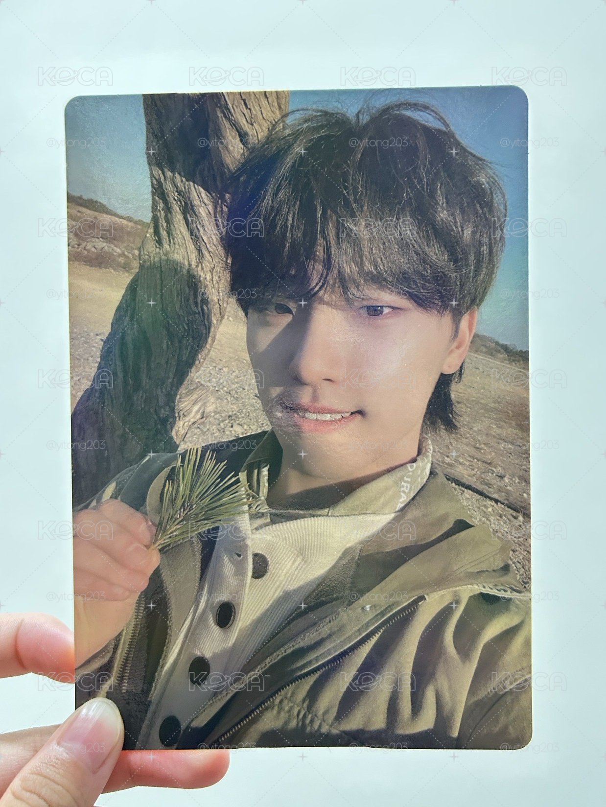 seventeen正四 (Face the sun)