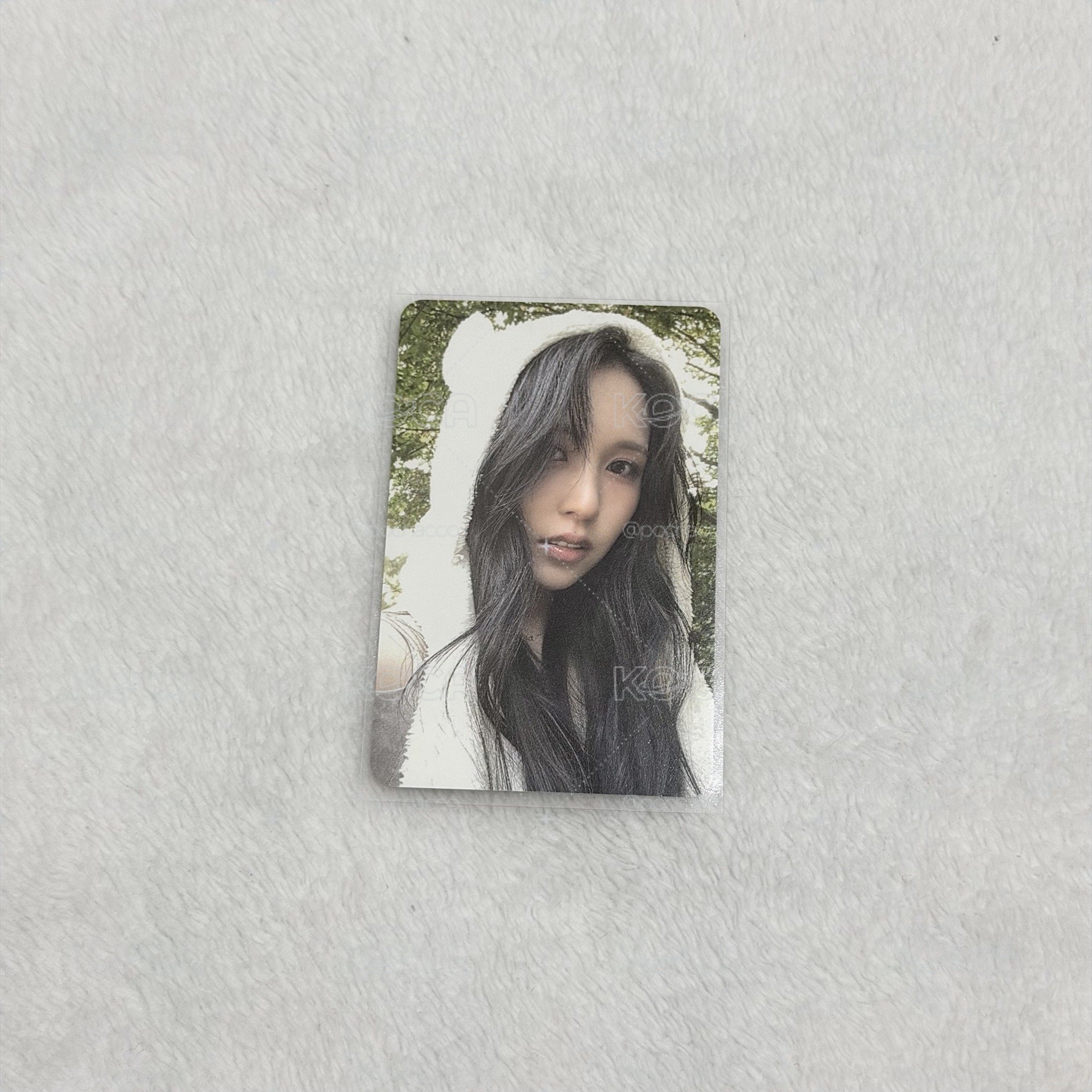 熊帽咪🐧