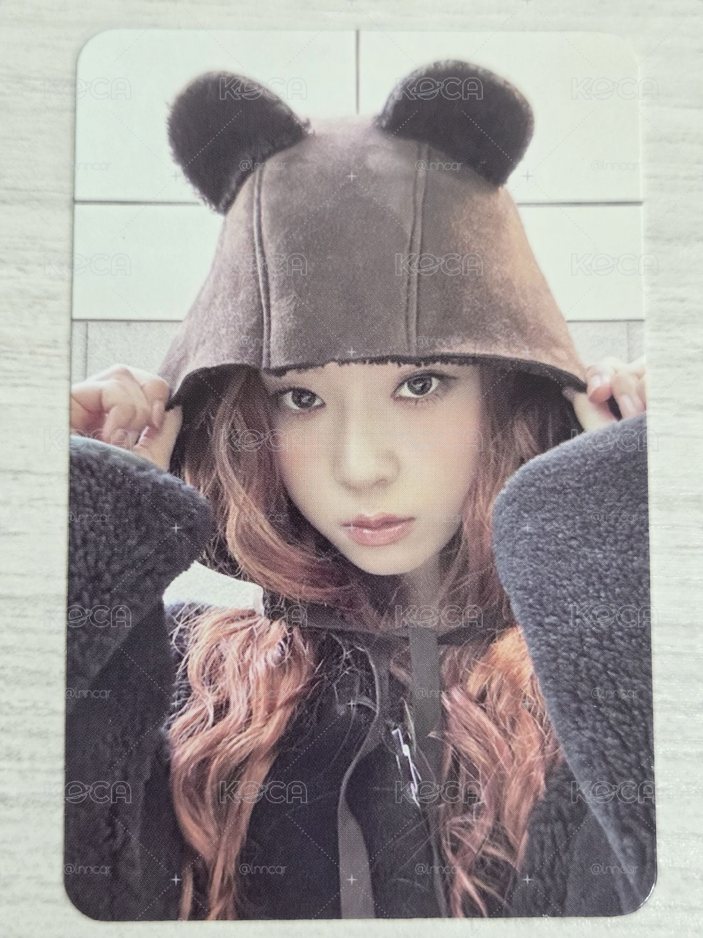 Drama KMStore 特典卡 小熊冬
