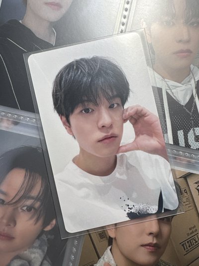 比心小狗🐶