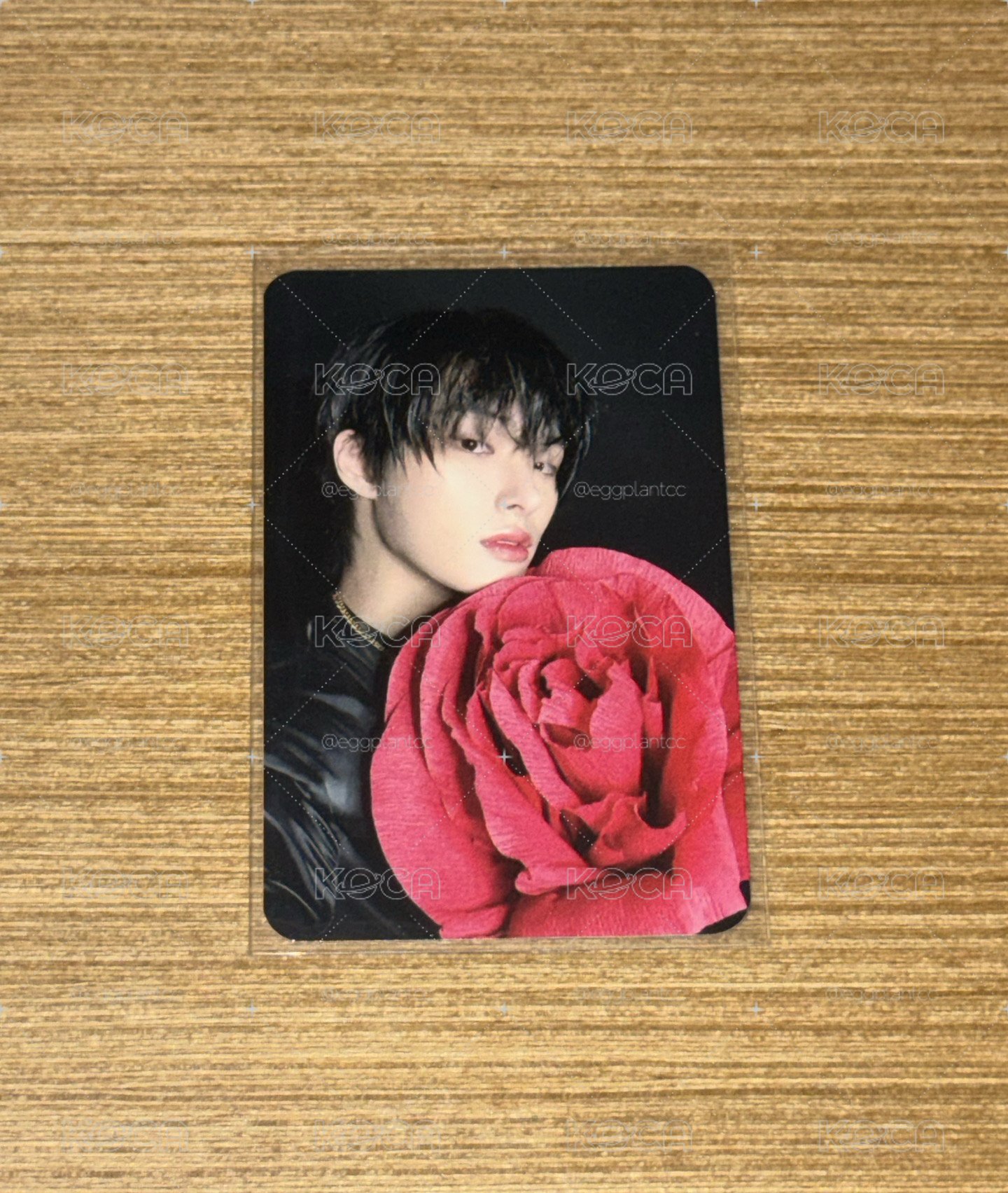 玫瑰琦🌹