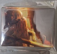 厚磚4