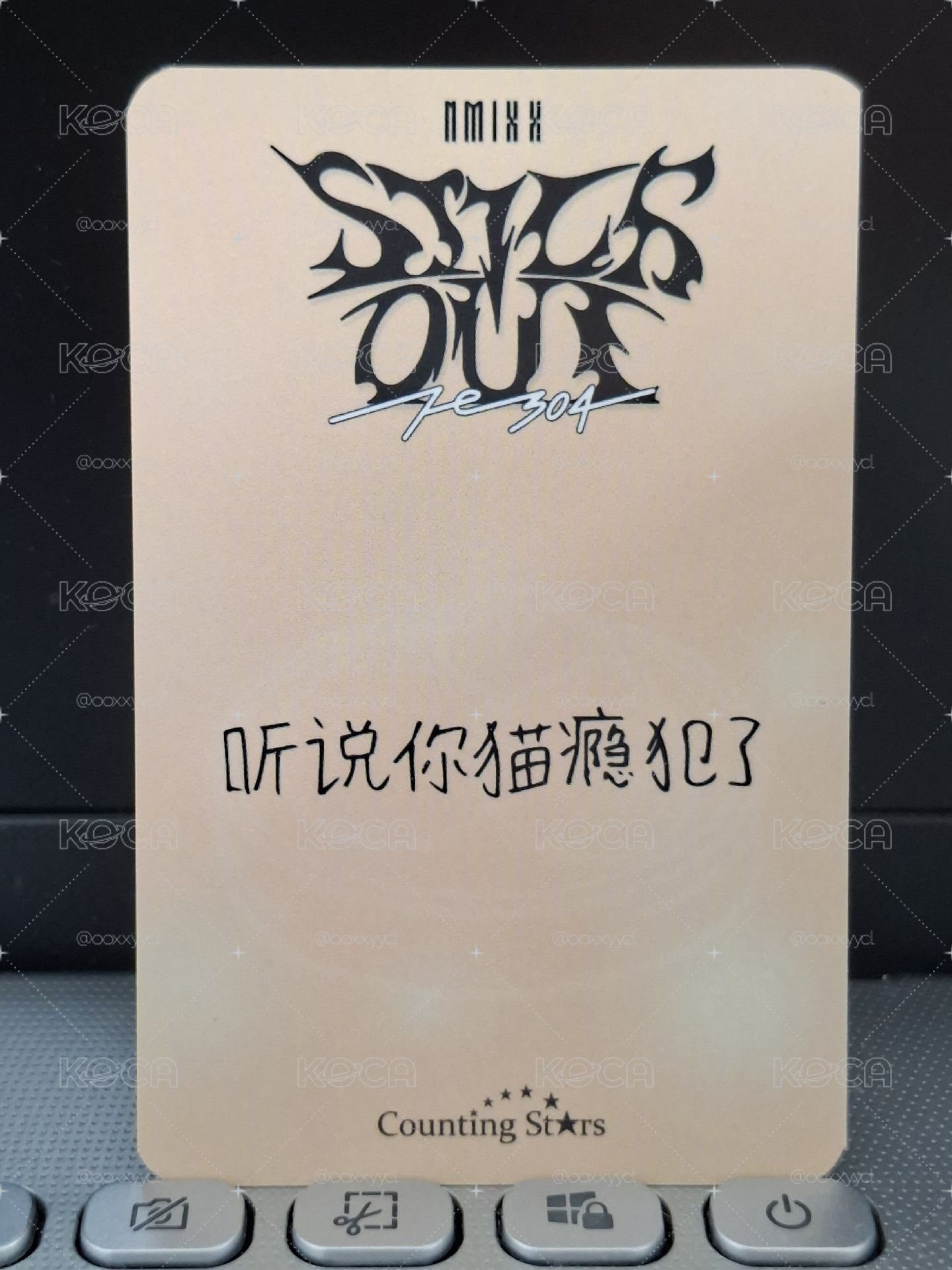 數星星 小籠包圭 聽說你貓癮犯了