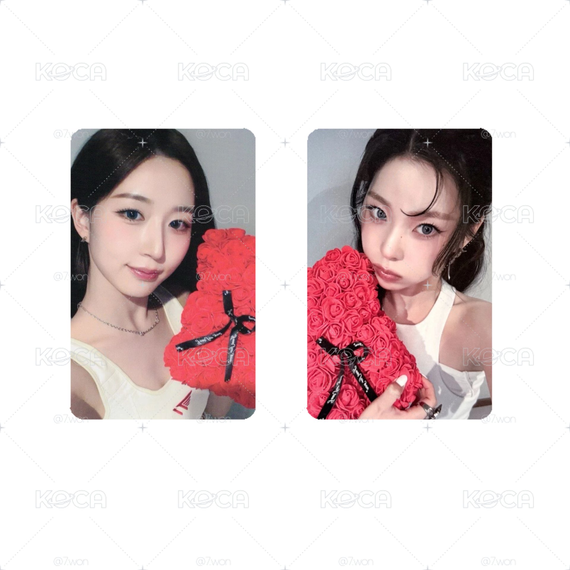 🍀 小夜曲 MS玫瑰熊嫄、圭