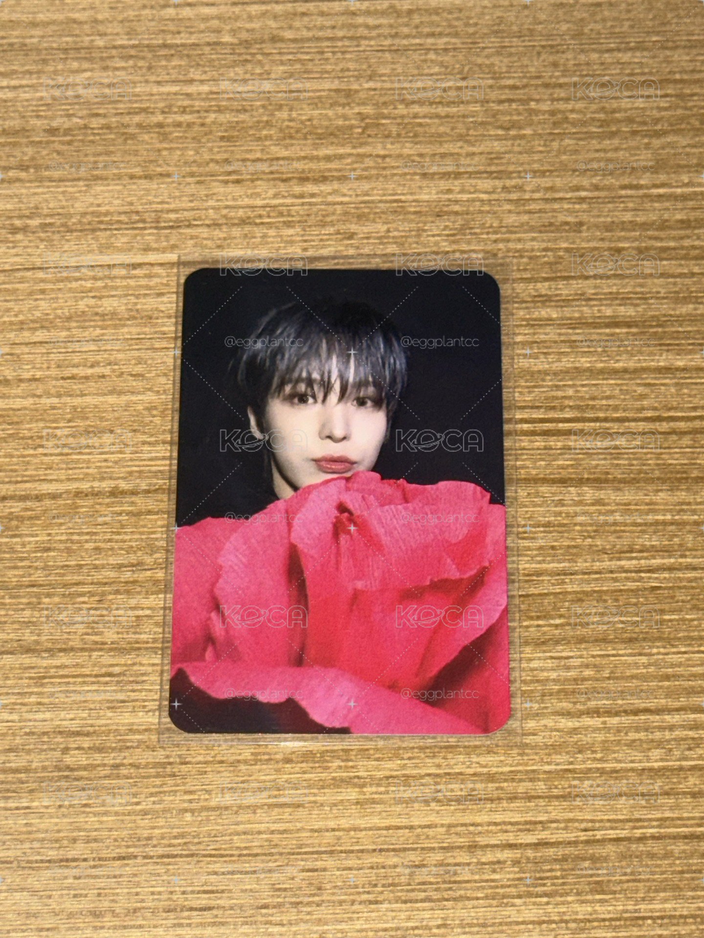 玫瑰潤🌹