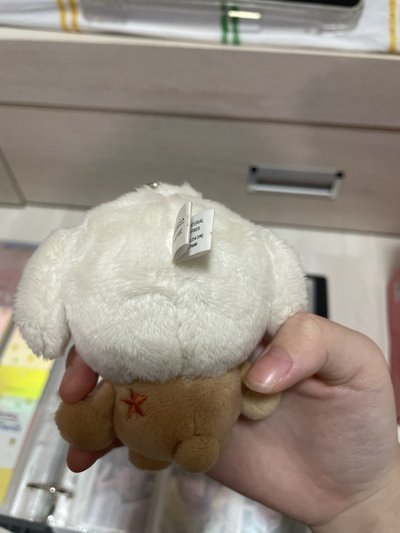 栗嘻原皮🟡有點髒原賣家給我就這個狀態了…