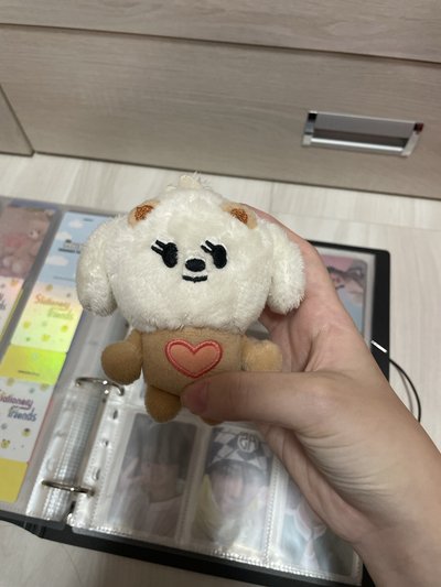 栗嘻原皮🟡有點髒原賣家給我就這個狀態了…