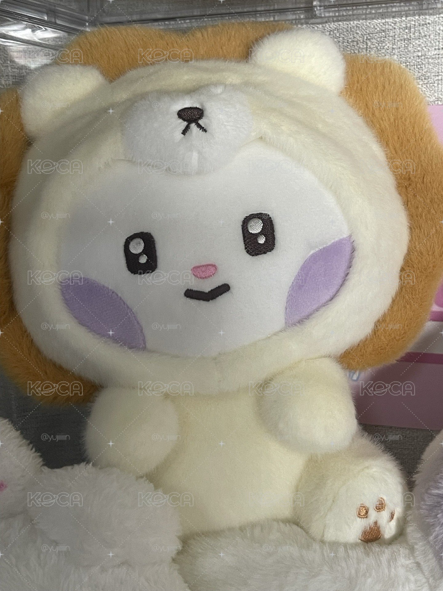 辰動物娃