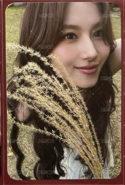 紗 迷13yes24
