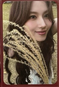 紗 迷13yes24