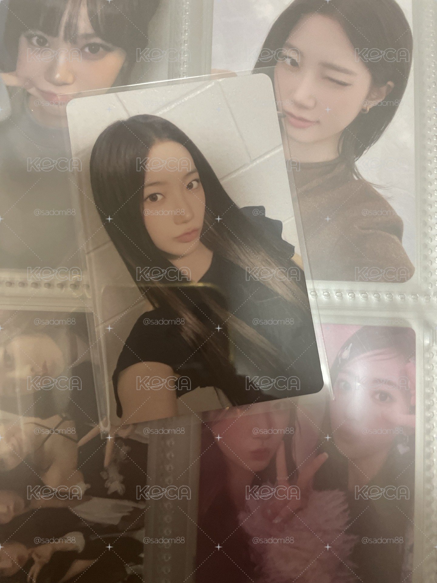 中背葉🟡