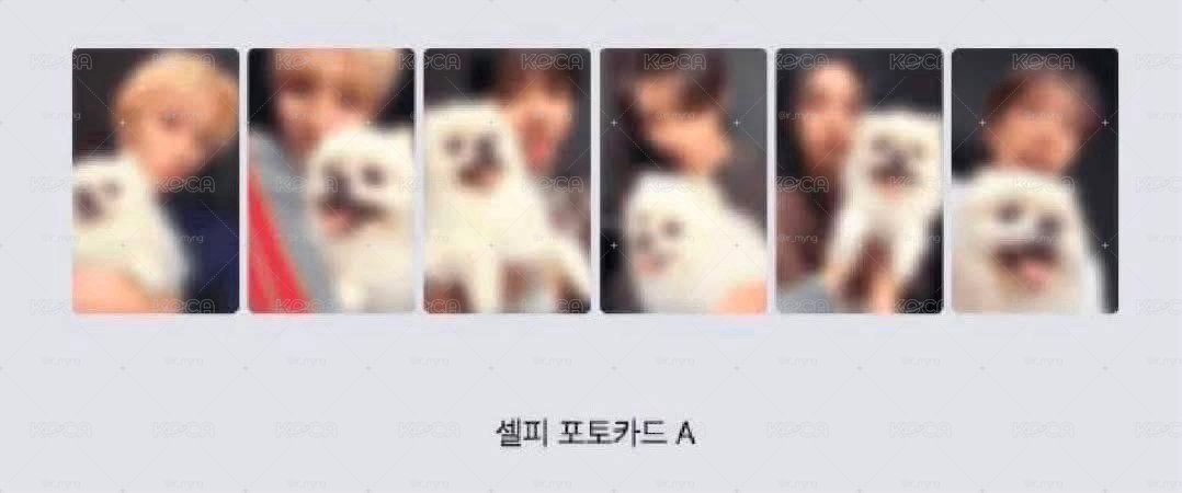 狗狗特典（無鑰匙圈）