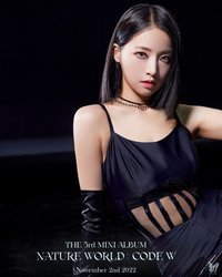 SAEBOM