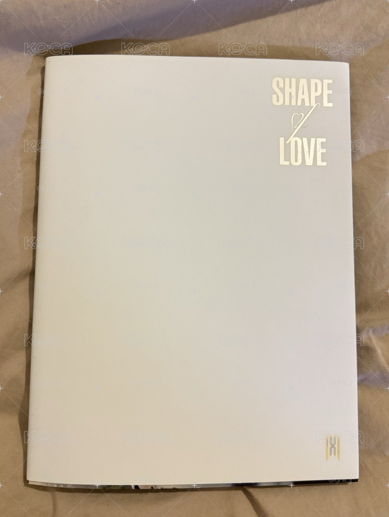 MONSTA X SHAPE of LOVE 空專