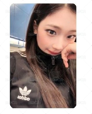 愛迪達露