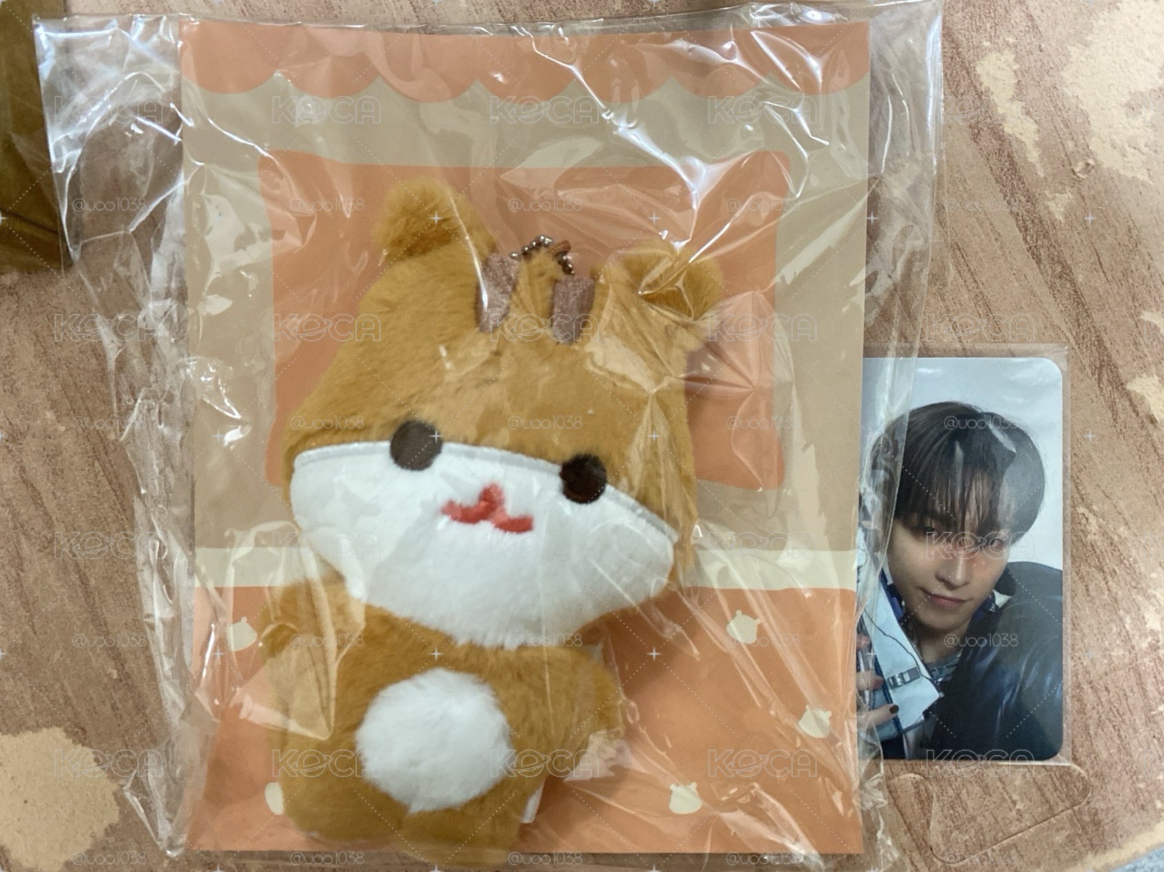 Ateez 弘中豆眼娃 含卡