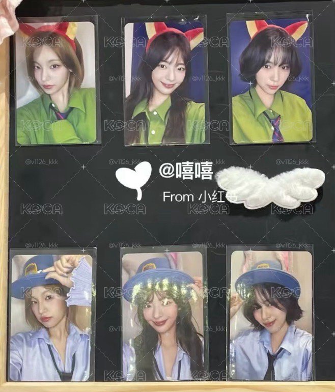 狐狸兔子志留