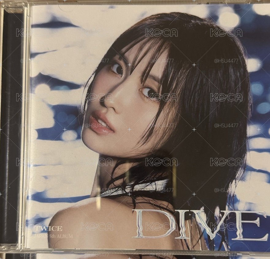 🍑DIVE空專