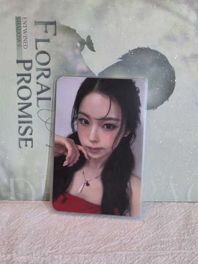 nmixx專區