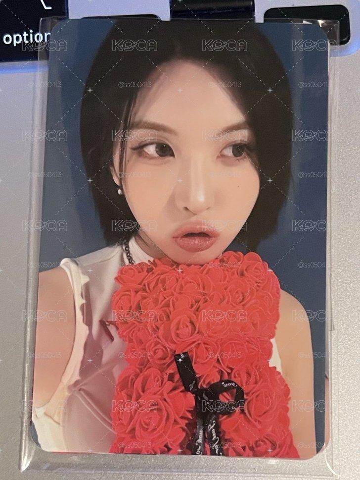 玫瑰熊 一套