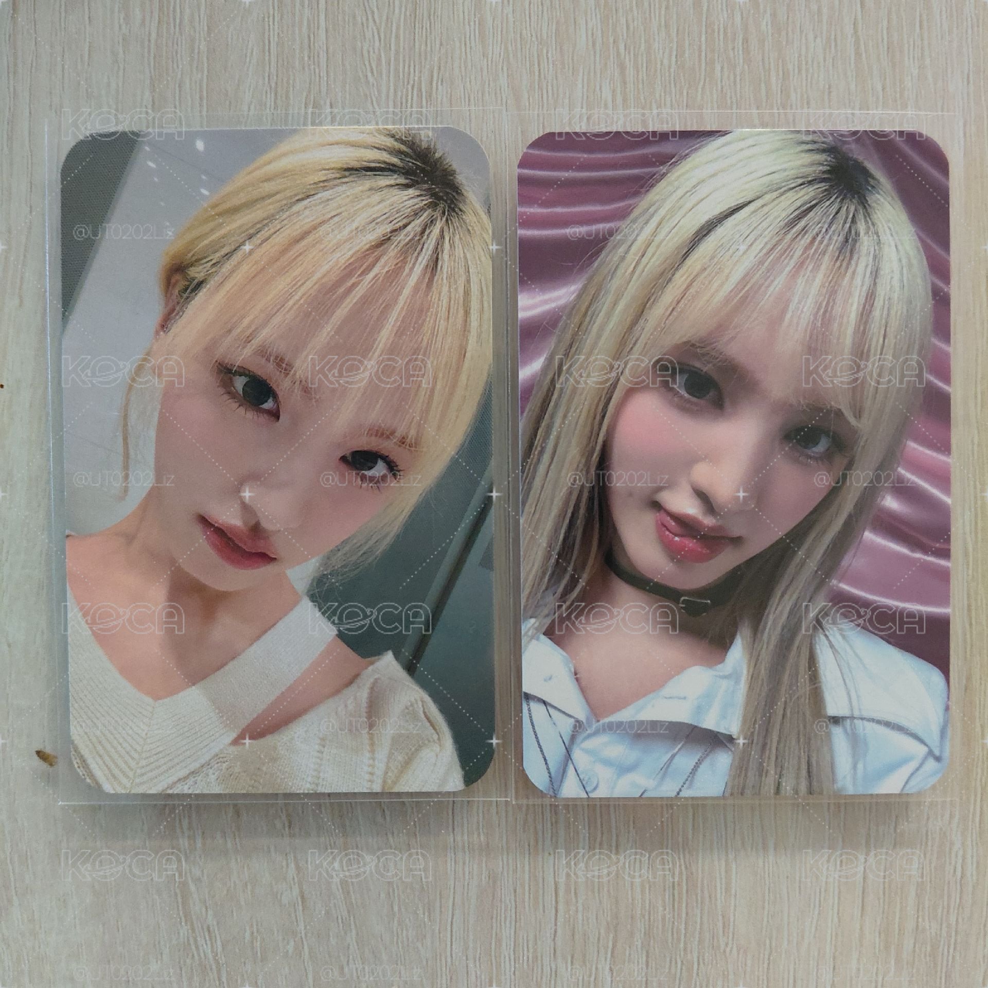 愛栗絲的國度