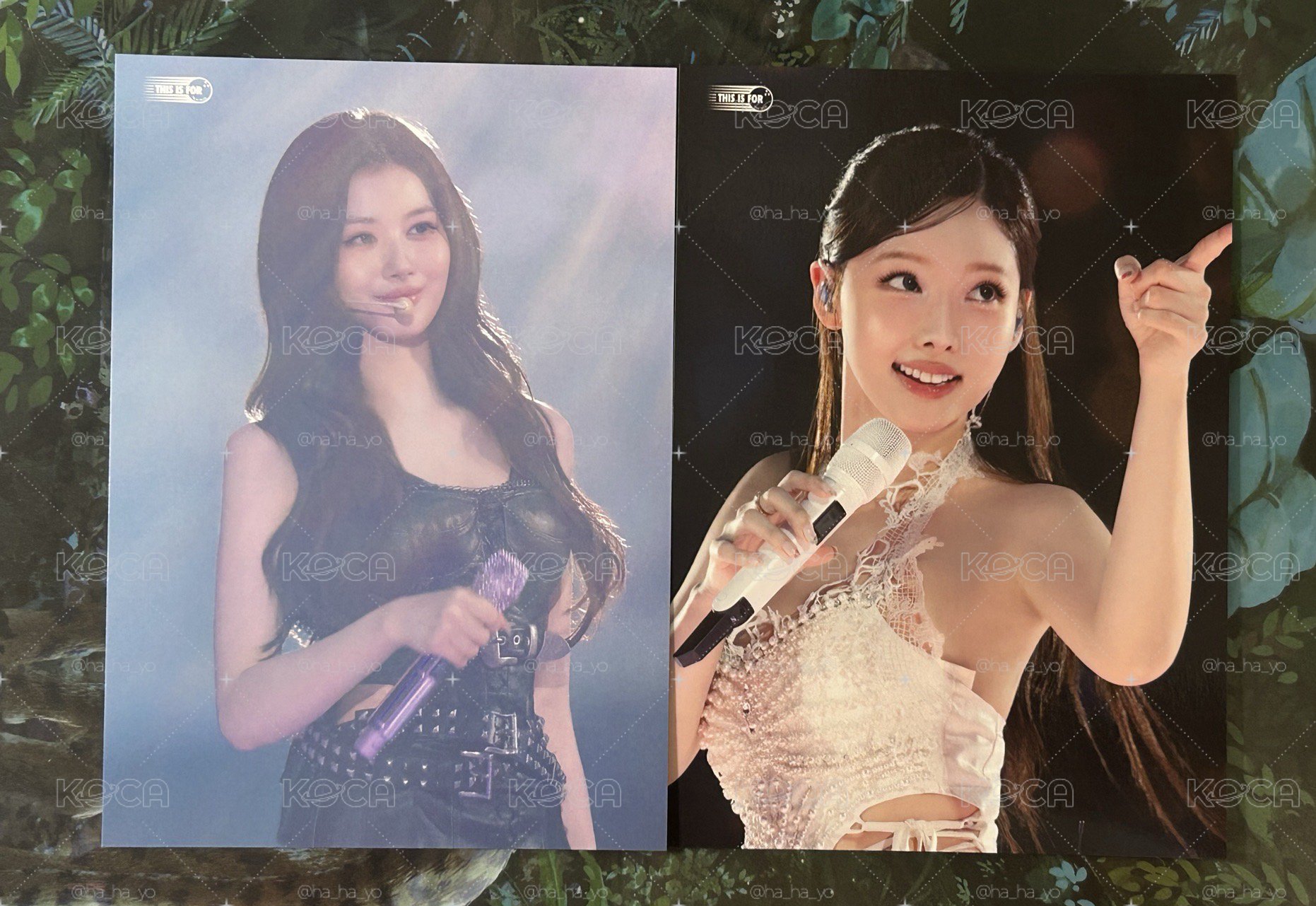 TWICE｜新國立大卡 🐰🐹