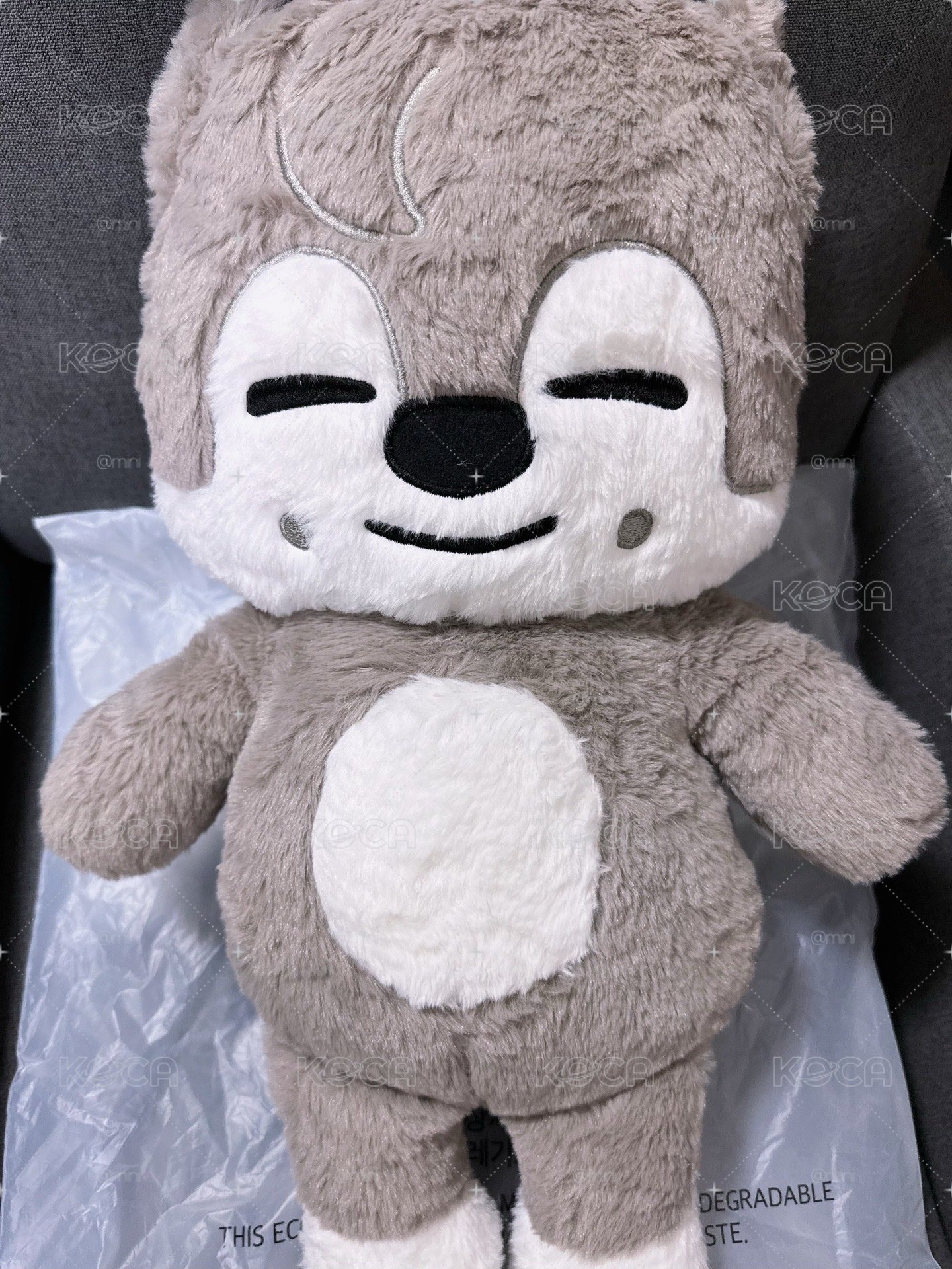 燦泰迪