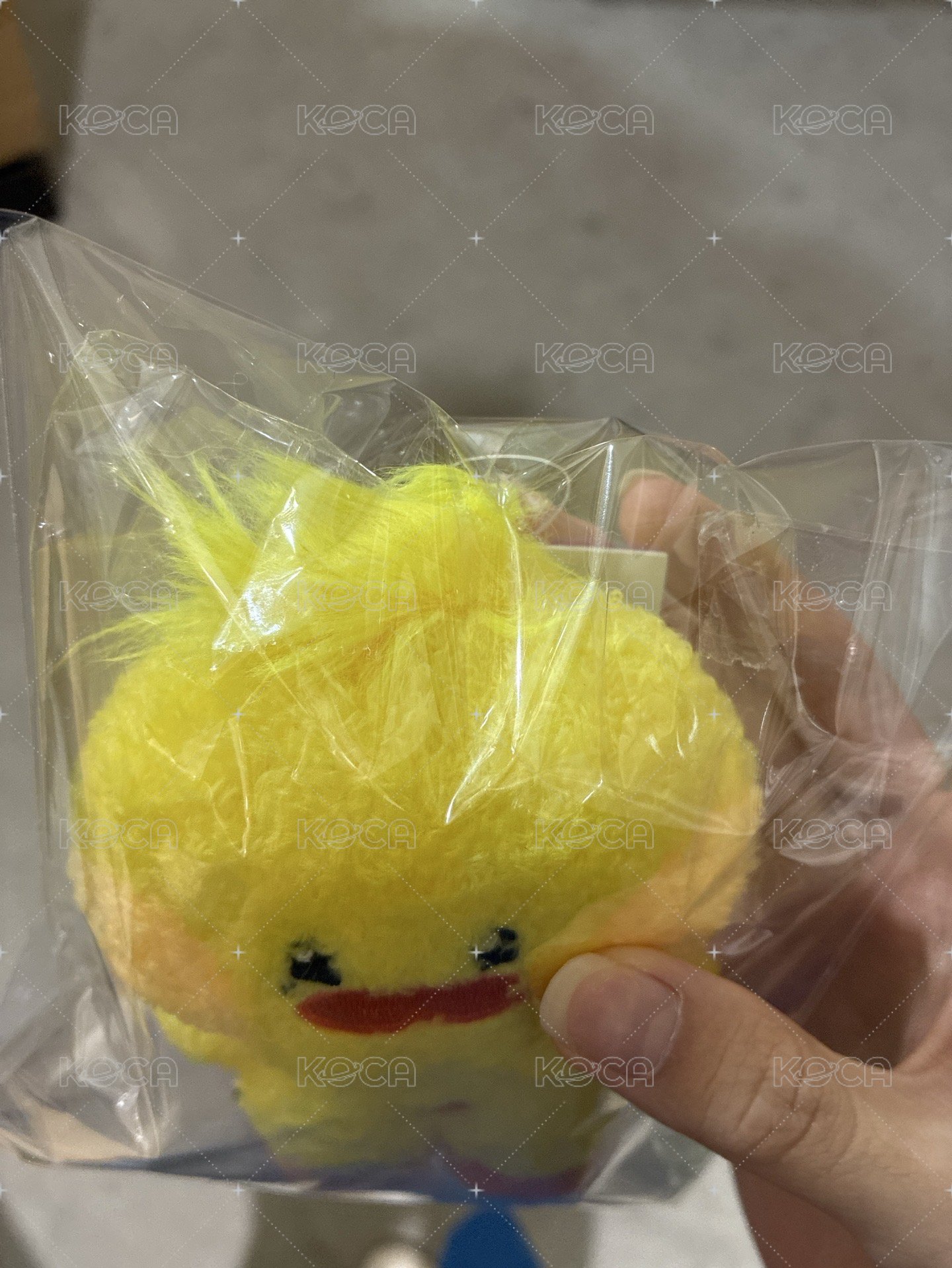 🐤-原袋破損