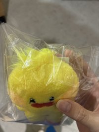 🐤-原袋破損