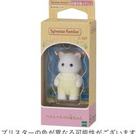 波斯貓