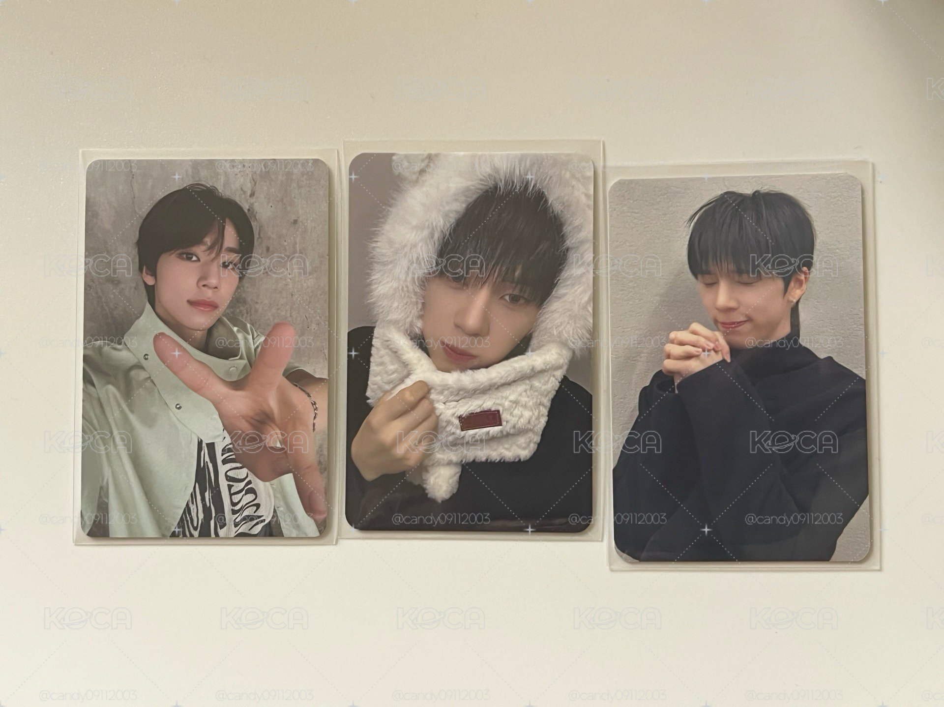 白熊🐻‍❄️sogeon