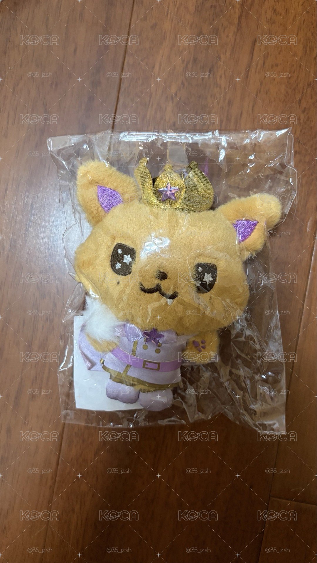 Sion王子娃