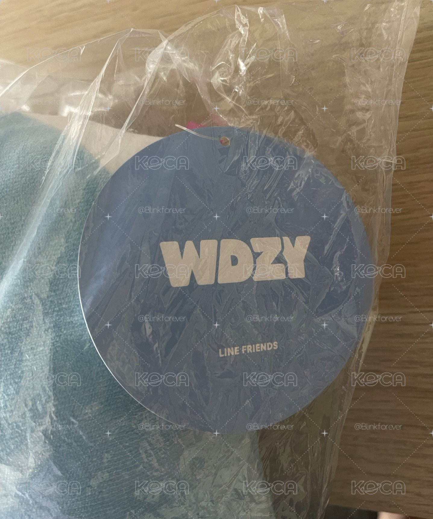 WDZY 彩領抱枕-CHUNG-EE