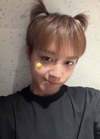 Meow(8/11～8/23不出貨)