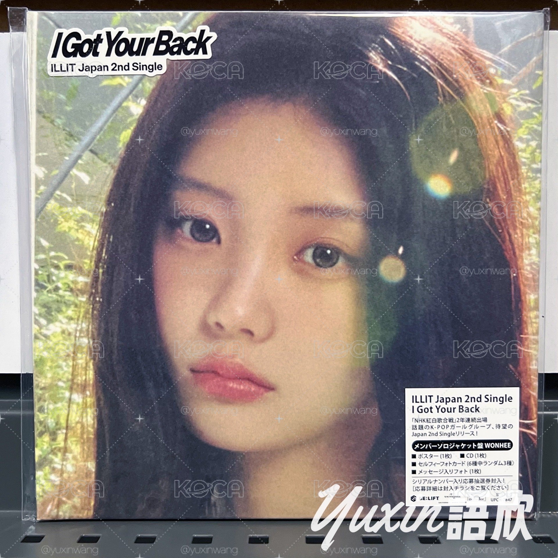 現貨✅ ILLIT 沅禧 日專 I Got Your Back 專輯 空專