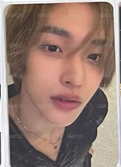 可愛小貓