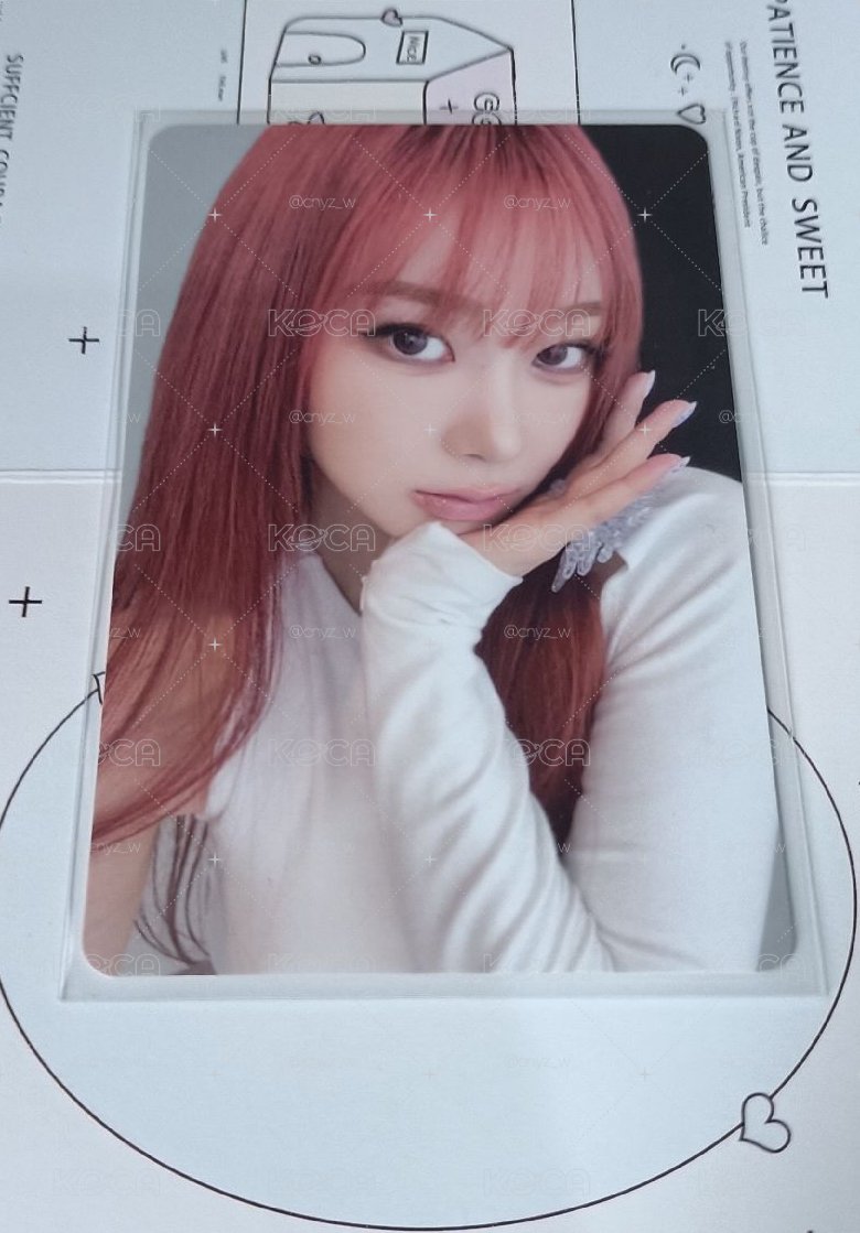 4張吉一起