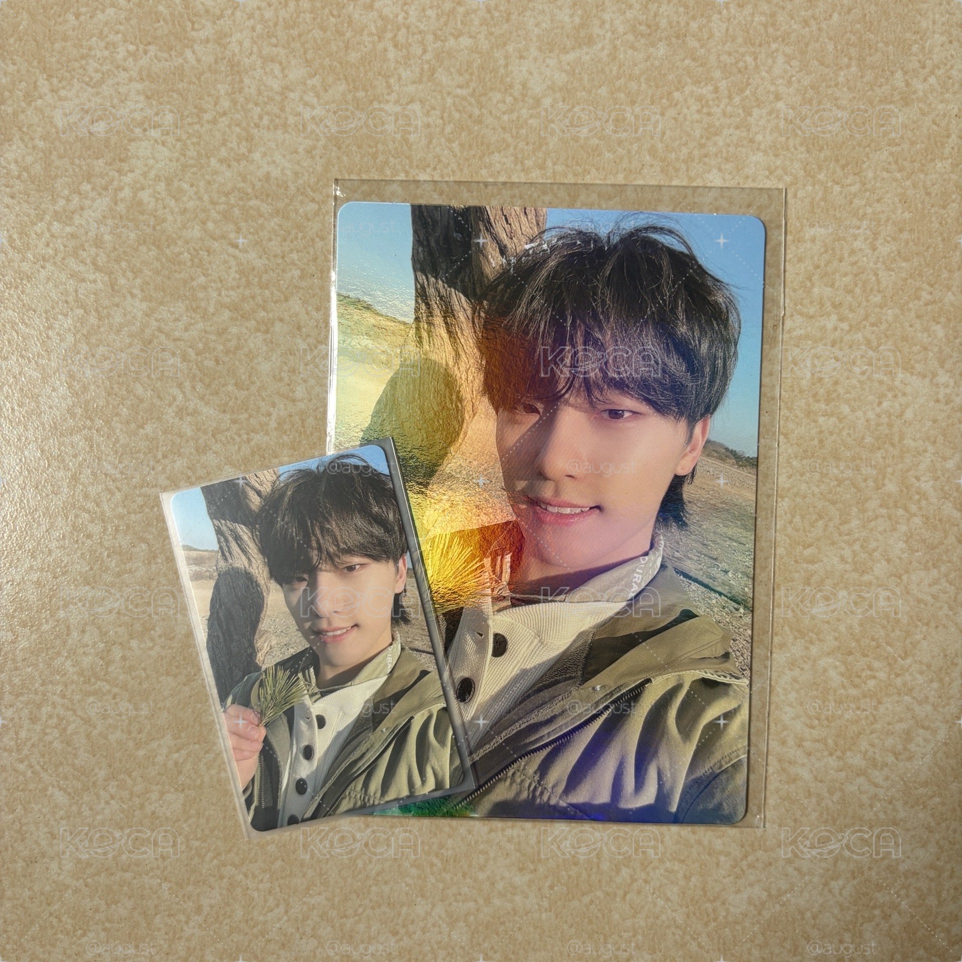 SEVENTEEN 李燦 Dino 特典 小卡