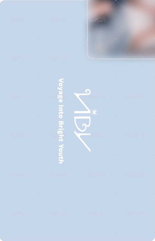 VIBY LAND 入場卡 / 場限卡 會場限定手燈卡 背面