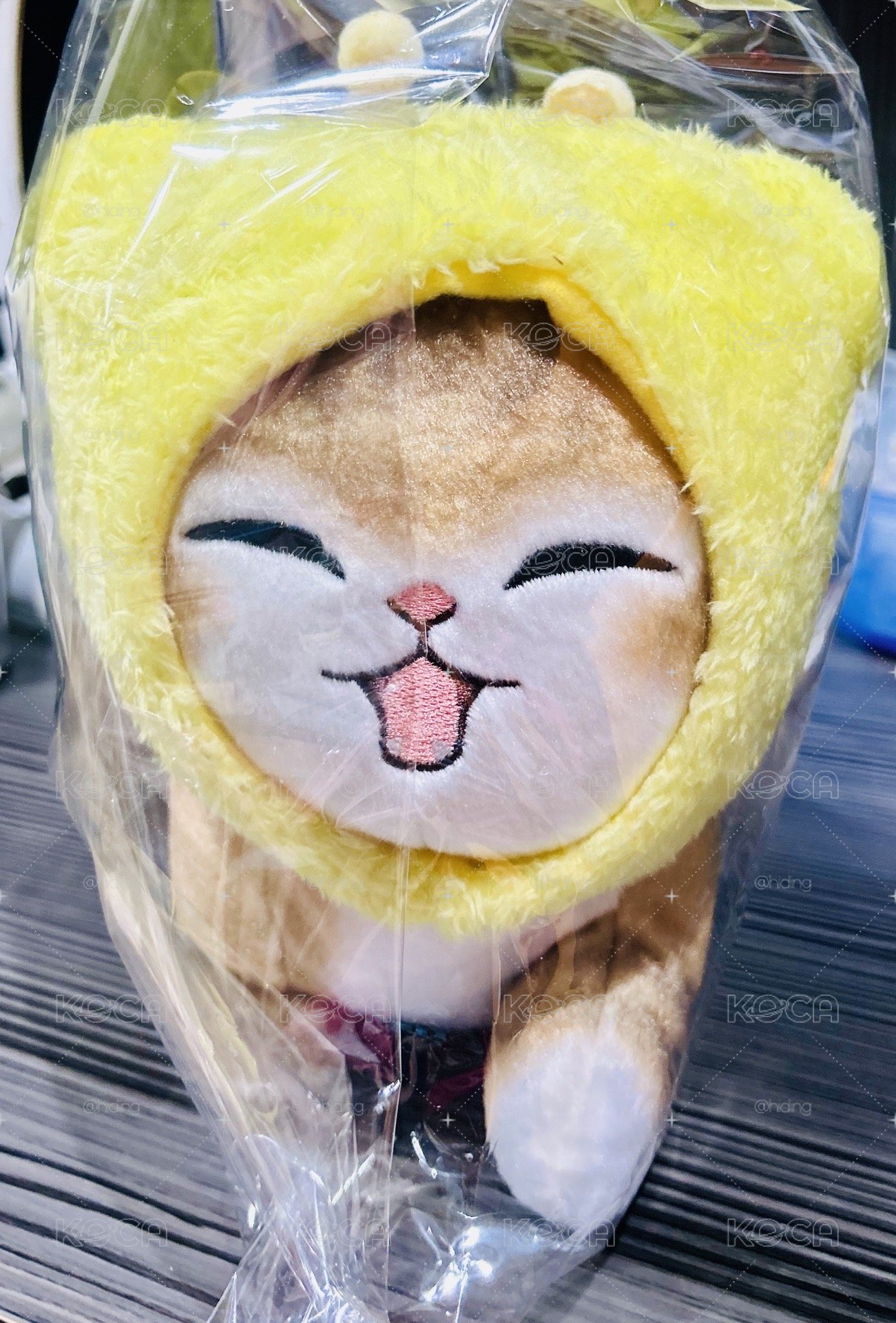 小蜜蜂貓福（黃）